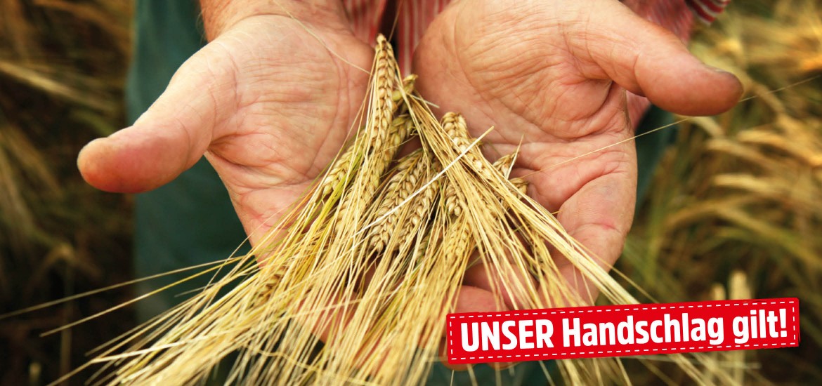 Drei-Punkte-Plan zur Unterstützung der heimischen Landwirtschaft