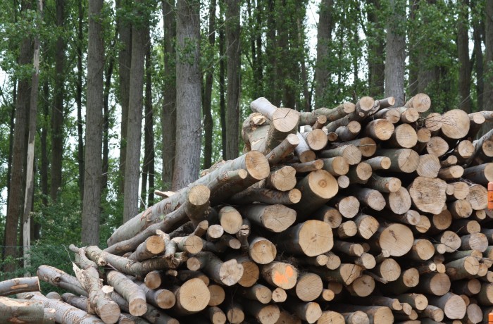 Keine Spur von gelebter Partnerschaft zwischen Holzindustrie und Bauern