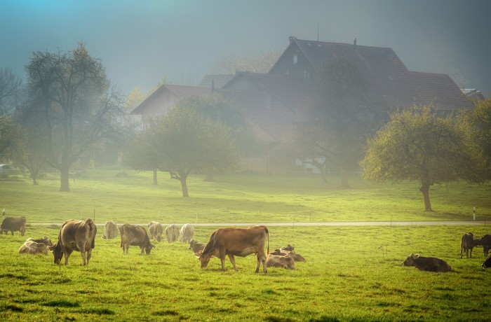 Hofübernahme wurde endlich erleichtert