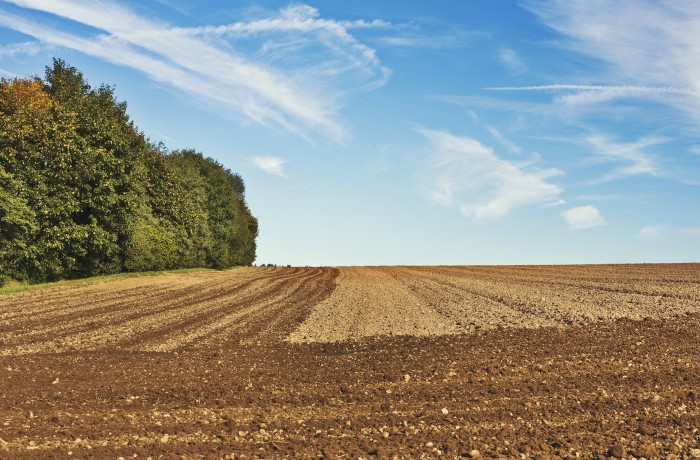 Landwirtschaftliche Flächen schützen und Ausverkauf der Heimat stoppen