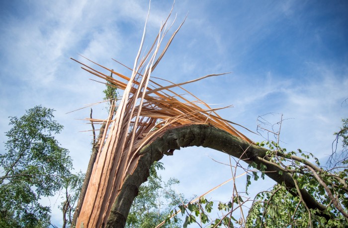 Waldbauern brauchen nach Unwetterschäden Entschädigungszahlungen und keine Almosen in Form von Schutzausrüstung!