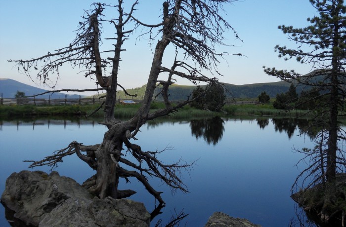 Skurriler Meinungsschwenk von SPÖ und ÖVP in Bezug auf Natura 2000