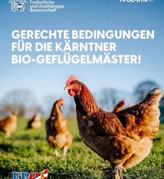 Die Freiheitlichen Bauern Kärnten fordern eine praxisnahe Anpassung der Regeln für die Bio-Geflügelhaltung