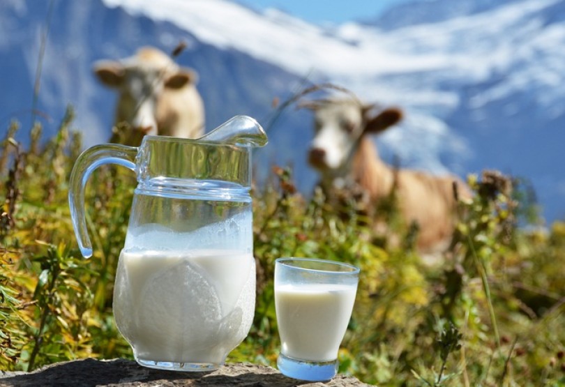 LK-Vizepräsident Roman Linder: „Es ist ein Wahnsinn, dass beste Kärntner Milch weggeschüttet werden muss, während Billigimporte unsere Regale füllen.“