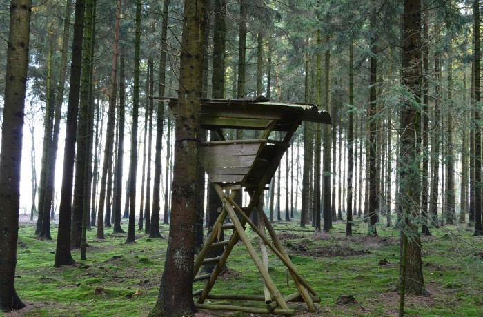 Statt sich wirklich für die Bauern einzusetzen, stellt Agrarlandesrat Christian Benger seine Unwissenheit in Bezug auf Wolf, Bär und Luchs zur Schau!